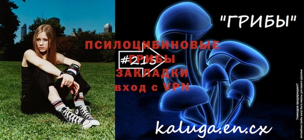 гашик Балахна