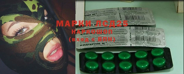 гашик Балахна